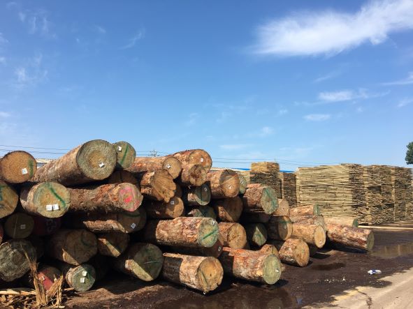 wood wood